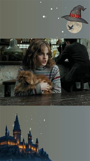 We all know ron’s rat scabbers is traitor peter pettigrew, but most miss that crookshanks spotted him first. #hogwarts #harrypotter | ᴍᴀɢɪᴄ ᴏꜰ ʜᴏɢᴡᴀʀᴛꜱ