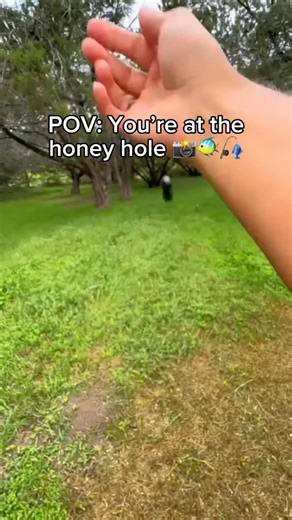 @dertrendigeladen on Instagram: "🎣 POV: The line tightens, the rod bends, and suddenly every moment of the fight is captured exactly how you feel it. #fishingislife #anglerlife #troutlake"