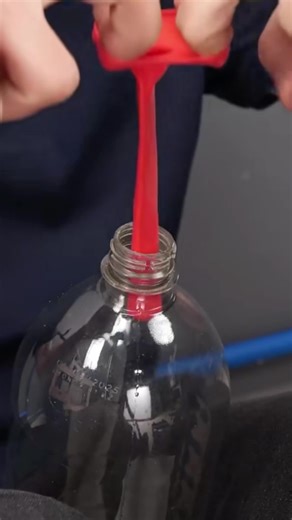 Olas just wandeing off at Disneyland Paris at the New World of Frozen coming next March! Beyond cute#disneyland #WorldOfFrozen#frozen #disneyadventureworld#disneylandparis