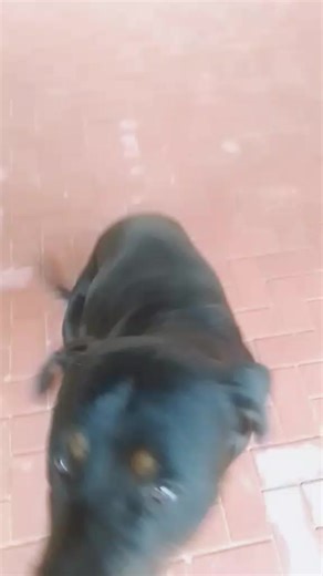 bb_double underscore (@keabetswemadumo12)’s videos with original sound - Audiossbyymiya