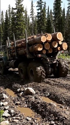 Fully Loaded Log Hauler CRUSHES Extreme Muddy Road! 🌲