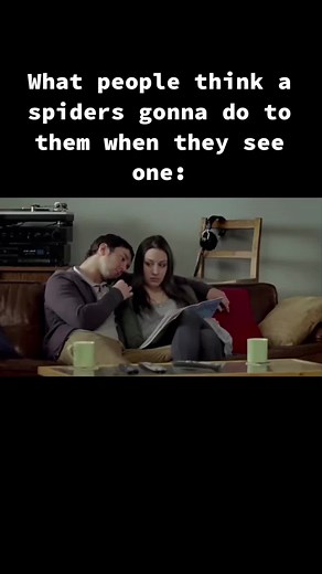 Spider Demolishes Man: Mentos Commercial Memes