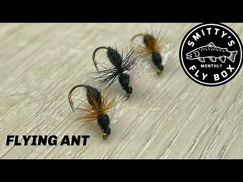 Flying Ant