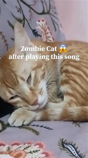 cat turned zombie after playing this song