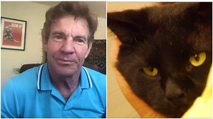 Dennis Quaid Adopted Dennis Quaid the Cat | The Mary Sue
