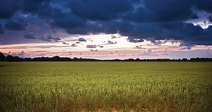 ‘Land grab’: an environmental issue?