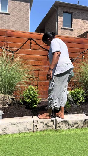 Rice Water for Plants: Mom’s Farm Garden Planting Tips