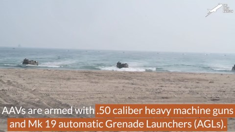 Massive Amount of US & Korean AAVs in Action During Intense Beach Assault Drill