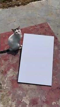 Starlink Unboxing, Setup & Speed Test | Is Starlink Internet Worth It? #starlink