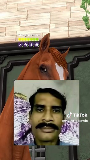 Imiona koni w Star Stable Online
