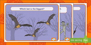 Halloween Activity Worksheets