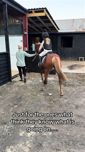 Understanding Flatwork in Horse Riding