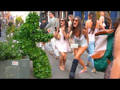 Hidden in Plain Sight Bushman Prank