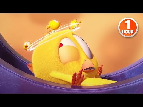 CHICKY | Board Game Time | 1 Hour Compilation | KIDS & FAMILY CARTOON