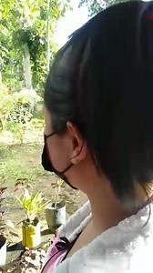 2.4K views · 43 reactions | Sana wag na maulit sa ibang ina ang nangyari sa akin na puwede naman normal ang delivery kahit naksched ako na i. CS. bakit tigilan ng nurse ang paglabas ng sanggol at pinaipit pa sa aking paa. Mariolyn Golveo | Paarak Western Visayas | Facebook