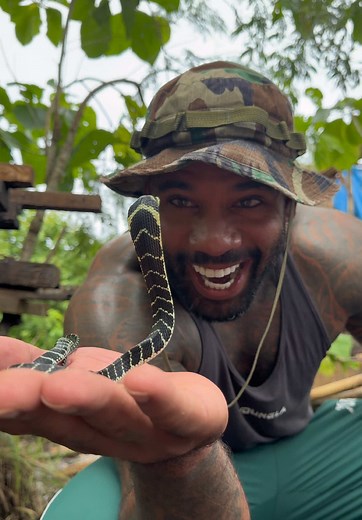 Adorable Baby King Cobra Moments
