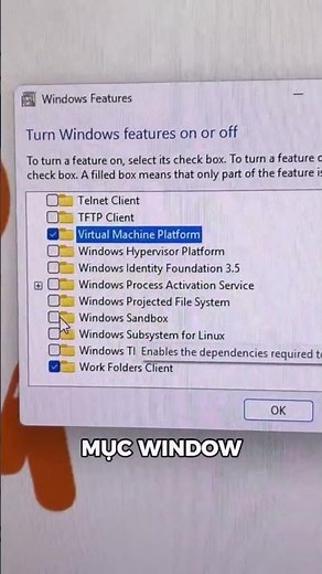 Sử dụng sandbox windows #windows #meohay