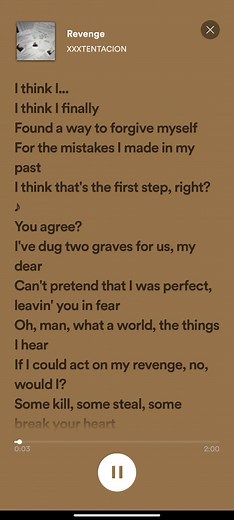 Revenge#fy #fyp #lyrics #song