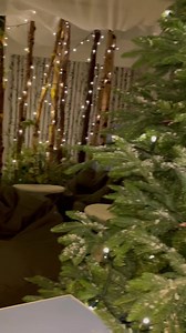 Last tickets left for Santa's Grotto! ❄️✨ Enter the elf-evator to...