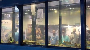 This fish tank = GOALS | Darcizzle Offshore