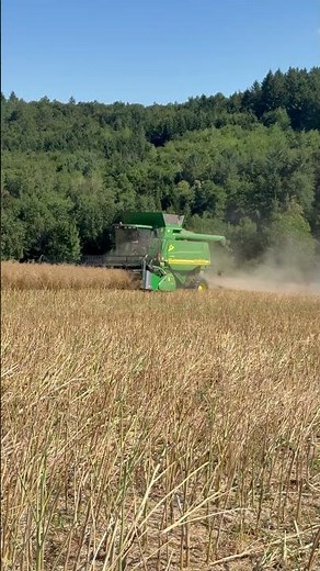 Rapsernte 2026 mit John Deere 9780i CTS | Volle Leistung! #farming #lifeisbutadream #agriculture