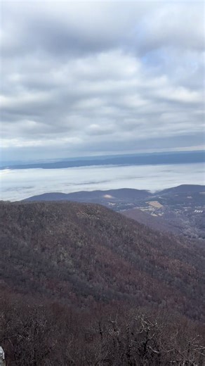 Exploring Shenandoah National Park: A Perfect Day Outdoors