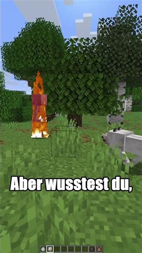 Why Spiders Avoid Armadillos #minecraft #mechanic #shorts