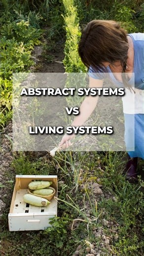 Abstract Systems vs Living Systems