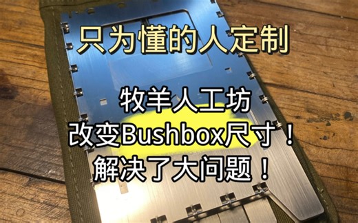 改变Bushbox尺寸！解决它的大问题！