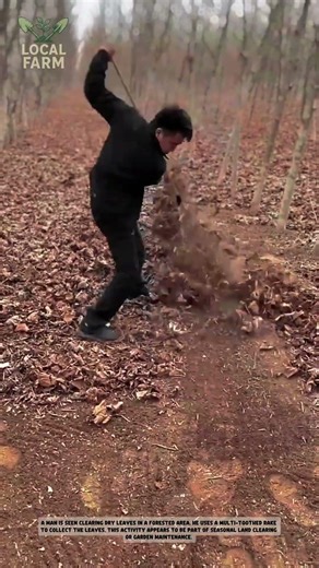 Manual Cassava Harvesting Tool: Simple & Efficient Farm Hack!