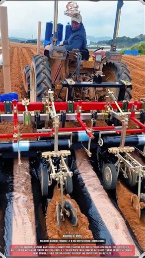 Mulching Machine Forming 1.2 m Bed Width During Farming Work