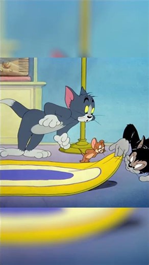 What are We Looking For? | Tom & Jerry | @Cartoonito | #shorts