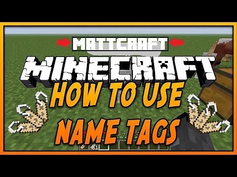 How To Put a nametag On A Wolf On Minecraft?(1.6.4)