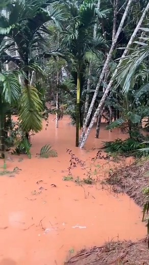 62K views · 1.4K reactions | Heavy red floodwaters from Naan Satoh...
