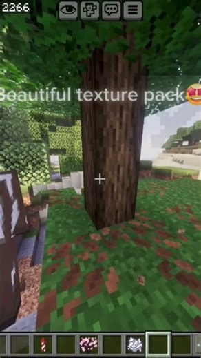 This texture pack😍
