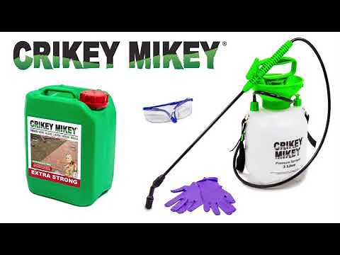 Crikey Mikey - KILLS: ALGAE, LICHEN & MOULD - FAST!