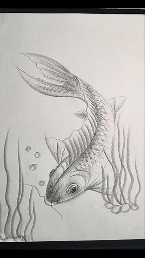 How To Draw a Fish: Step-by-Step Tutorial