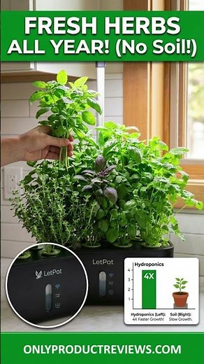 How To Grow Herbs All Year Round In Your Apartment or Indoors At Home
