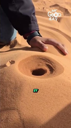 A Simple Simulation of Giant Canyon Formation #shorts