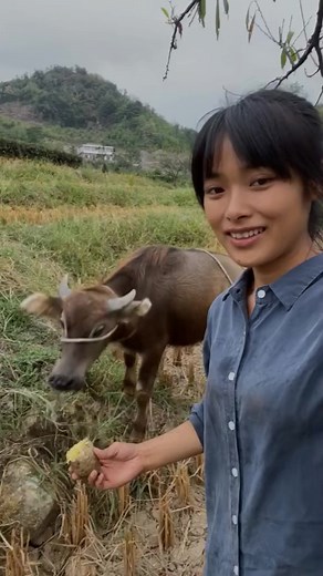 7.2K views · 862 reactions | Countryside Girl | Natural Life | Facebook