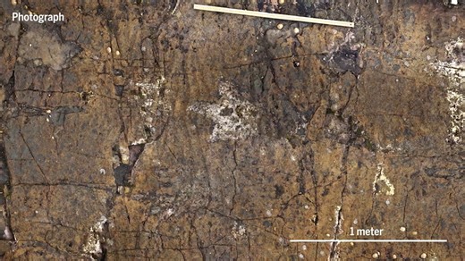 These unusual dinosaur tracks in Scotland reveal an ancient watering hole. Learn more: https://scim.ag/3RDnwTG | Science