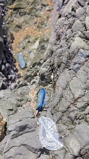 2.9M views · 61K reactions | Nagsilsil ra gani kog bato | RunDee TV | Facebook