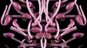 Baby Einstein - Baby Mozart - Music Festival in Fast Voice