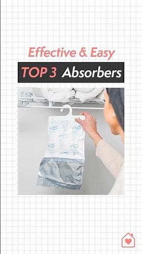 3 Moisture Absorbers to Beat Mold & Odors!