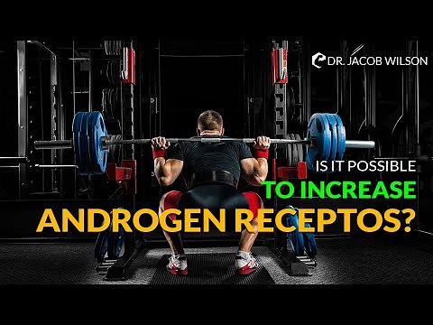 Is It Possible To Increase Androgen Receptors?
