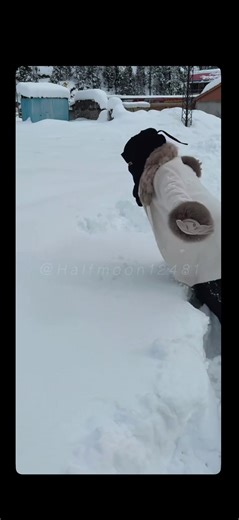 Weeeeeeee🤭😂😂