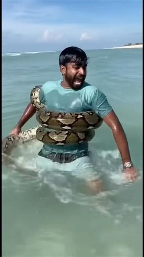 🐍😱 Man Attacked by Snake While Swimming! 🌊 #snakeattack #wildlife #viralvideo #shorts #aivideo