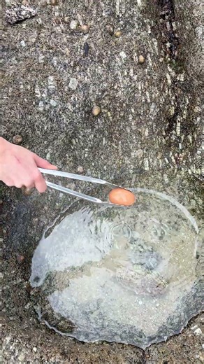 🥚 Uovo Bollito in una Sorgente Termale! ♨️