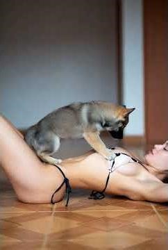 A Frame of Pure Happiness: Dog-Human Love Captured by AI