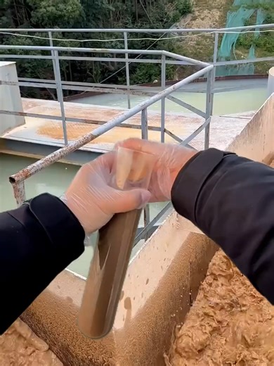 Effective Strategies for Industrial Wastewater Treatment